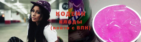 МДПВ Карпинск