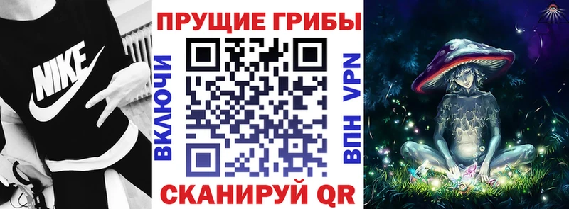 Псилоцибиновые грибы прущие грибы  Купить  Гулькевичи 